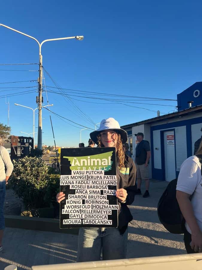 Shore Tours Peninsula Valdes Puerto Madryn Cruise Passengers - Wildlife expectations: what you can plan for, and what depends on season