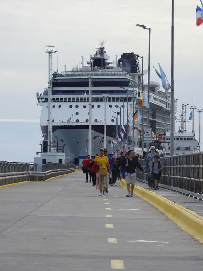 Shore Tours Peninsula Valdes Puerto Madryn Cruise Passengers - Getting on the bus: pier pickup, name signs, and timing that matches your ship