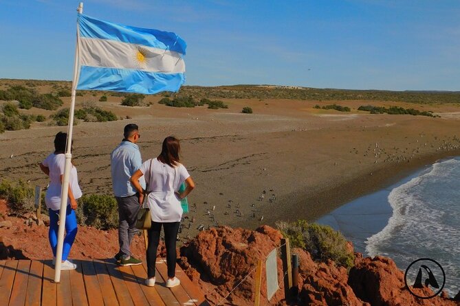 Shore Tours Punta Tombo Cruise Ship Passengers Puerto Madryn - Key Points at a Glance