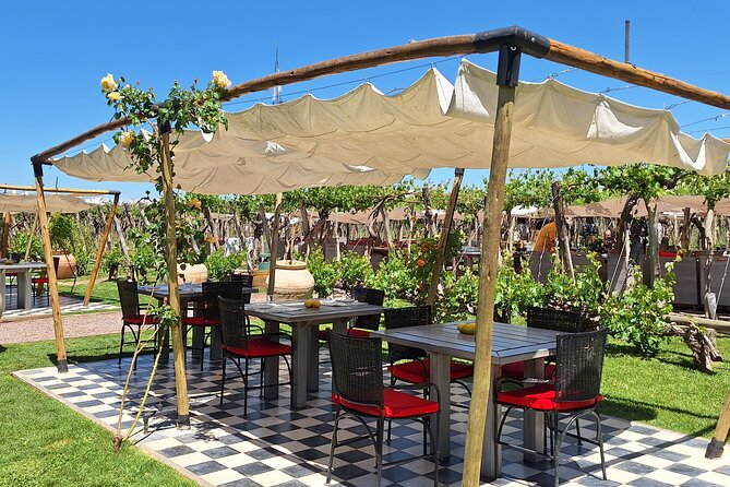 Sip & Savor: Private Tour of Three Charming Wineries - A Private Mendoza Wine Day That Actually Feels Private