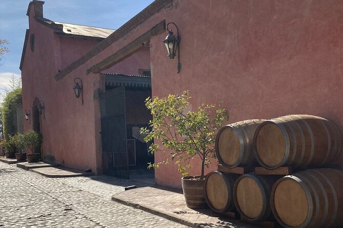 Sip & Savor: Private Tour of Three Charming Wineries - The Guide Makes the Day: Patricia’s Calm, Local, Well-Timed Approach
