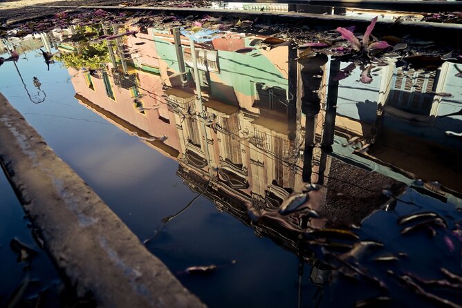Small Group Southern Immersive Bike Tour - Price and Value for a Half-Day in the City