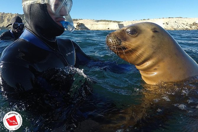 Snorkeling with Sea Lions - How the 2 hours 45 minutes plan actually feels