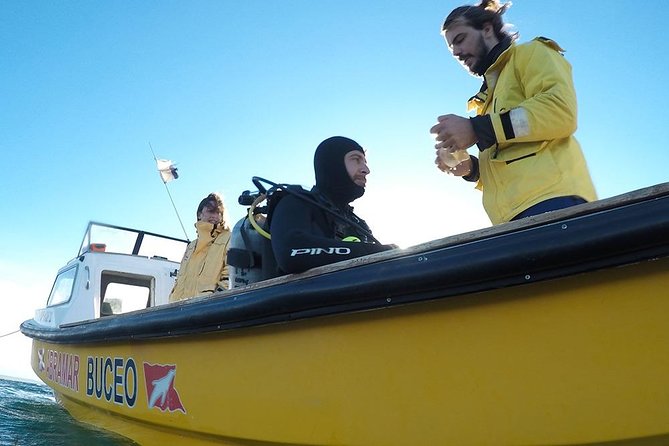 Snorkeling with Sea Lions - Gear that actually matters: wet suit, boots, hood, mask, snorkel