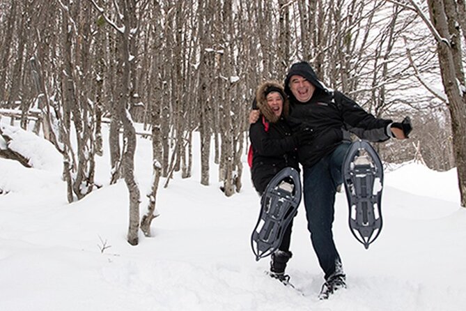 Snow day on snowmobiles, snowshoe hike and culipatín - Snowmobile driving: adrenaline with a clear age rule