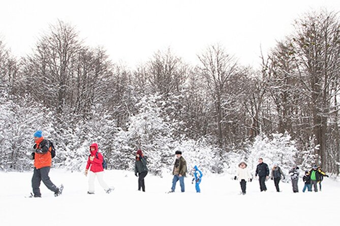 Snow day on snowmobiles, snowshoe hike and culipatín - Culipatín downhill slides: the laugh-you-will-remember part