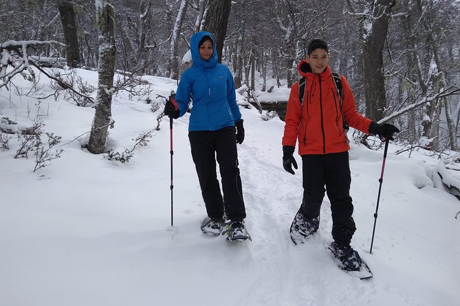 Snow excursion in Bariloche - Suitable for the whole family - Why This Bariloche Snow Excursion Feels Right for Families