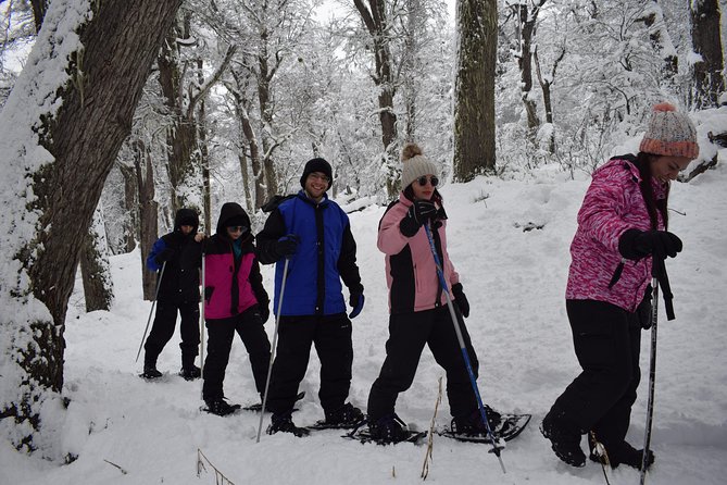 Snow excursion in Bariloche - Suitable for the whole family - Nahuel Huapi and the Trail Plan: How Your Guide Chooses the Day