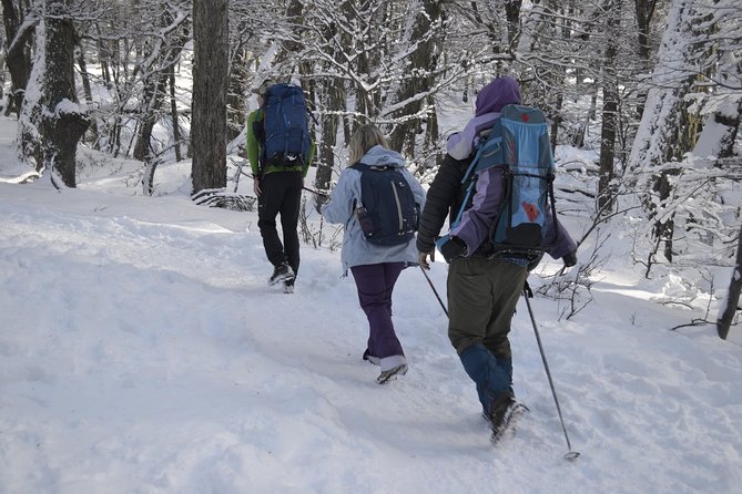 Snow excursion in Bariloche - Suitable for the whole family - Snowshoe Instruction, Then Slide Time on Steeper Slopes