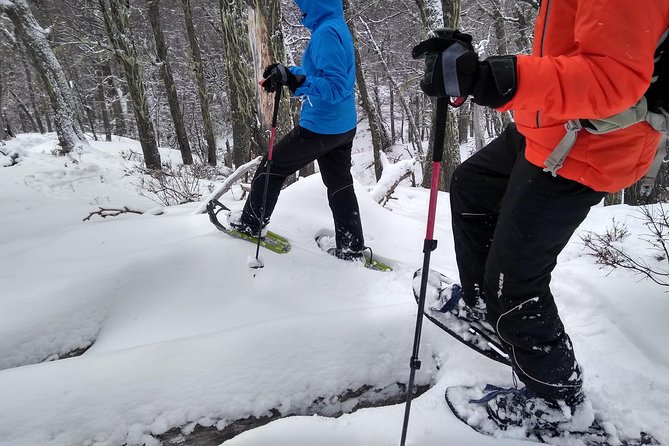 Snow excursion in Bariloche - Suitable for the whole family - Family-Friendliness and Real-World Comfort