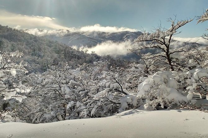 Snow excursion in Bariloche - Suitable for the whole family - The First Steps: Pickup, Timing, and Getting Ready