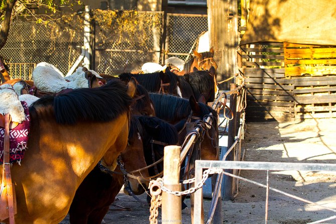 Sunset Horseback Riding - Key Highlights You Should Know
