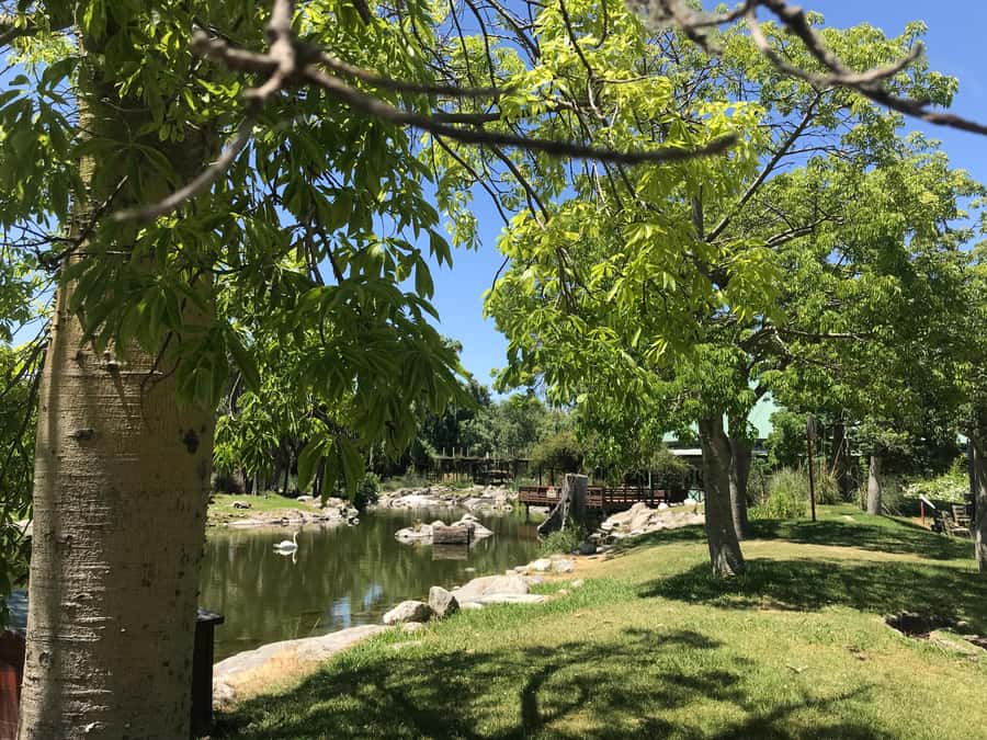 Temaiken Biopark Entry Tickets - Native Zone and botanical gardens: start with what’s local