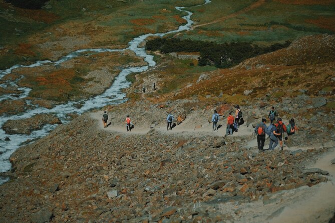 Tempanos Lagoon hiking - Small Group Size, Guide Control, and the Pace You Actually Get