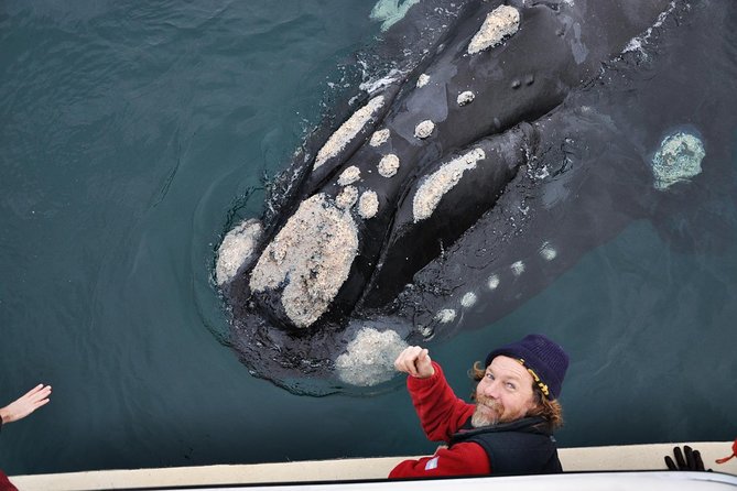 The Best of Peninsula Valdés in one day - Stop 2: Puerto Piramides Walk, Local History, and Whale Watching Time