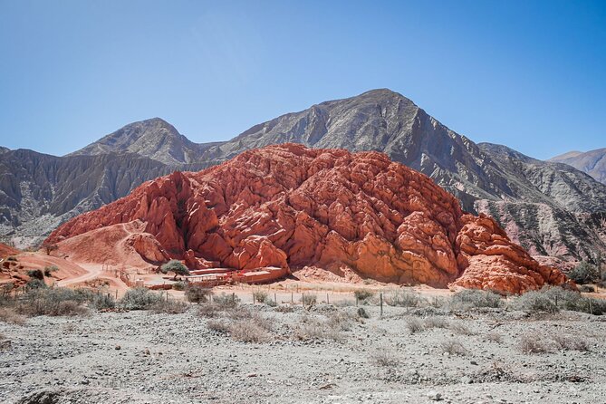 The Calchaqui Valley Winery and Scenery Tour in Cafayate - Cafayate winery time: vineyards, barrels, and Malbec plus Torrontés
