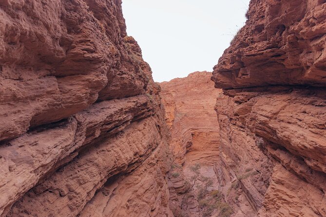 The Calchaqui Valley Winery and Scenery Tour in Cafayate - Lunch is on you, so plan food like a local