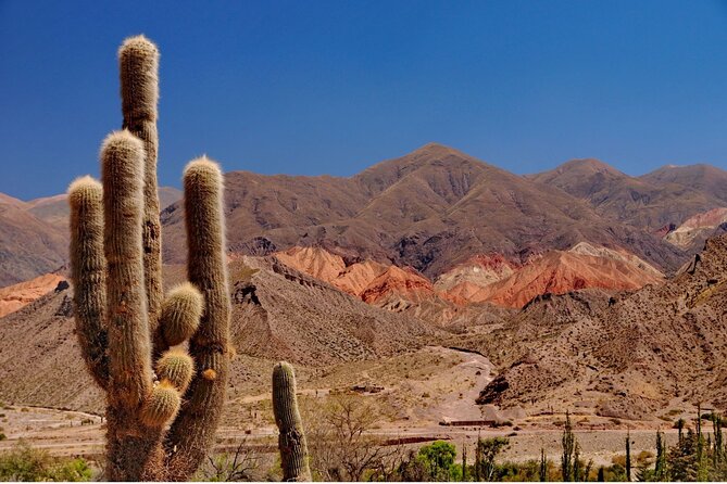 The Calchaqui Valley Winery and Scenery Tour in Cafayate - Quebrada de las Conchas: Garganta del Diablo and the Amphitheater