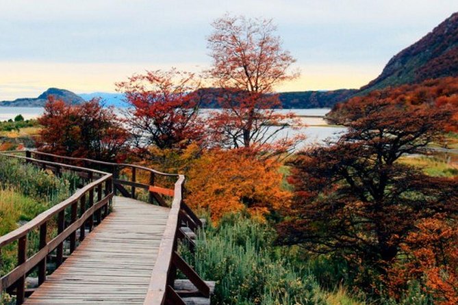 Tierra del Fuego National Park - Stop 1 at the End of the World train station: your main decision