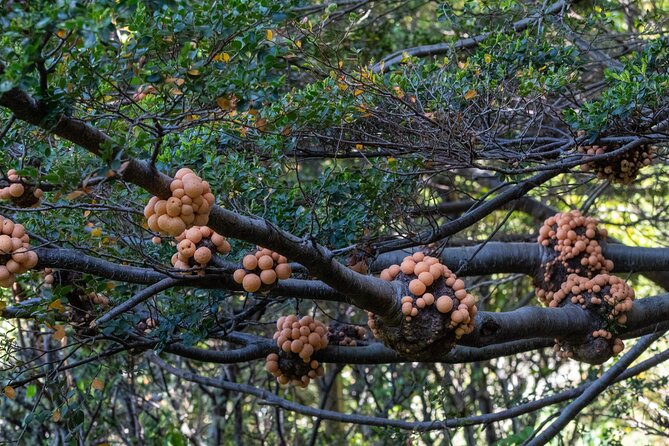 Tierra del Fuego National Park by Hike - Small groups - Parque Nacional Tierra del Fuego: easy circuits and winter reroutes