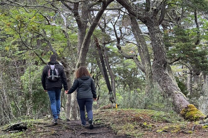 Tierra del Fuego National Park by Hike - Small groups - Guide impact: Lucas, Franco, Juanse, Dilan, and the storytelling style