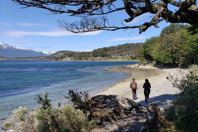 Tierra del Fuego National Park Private Tour - Bahia Lapataia, where forest meets water and viewpoints do the talking