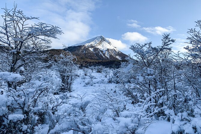 Tierra del Fuego National Park - Small Groups. Optional Train - The optional End of the World Train, what it does and what it does not