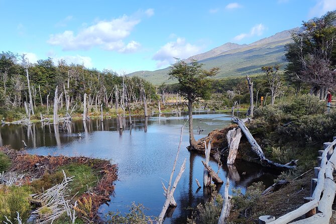 TIERRA DEL FUEGO NATIONAL PARK & TRAIN (optional) Tour - The end-of-the-world feeling, built from smart stops
