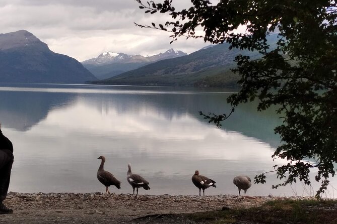 TIERRA DEL FUEGO NATIONAL PARK & TRAIN (optional) Tour - Pace, comfort, and who this tour is best for