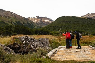 Tierra del Fuego National Park with the End of the World Train
