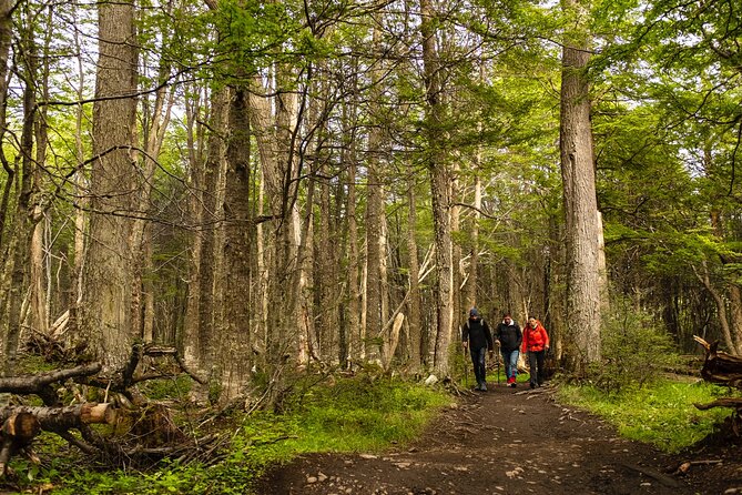 Tierra del Fuego National Park with the End of the World Train - Stop-by-stop: what the big viewing spots actually give you