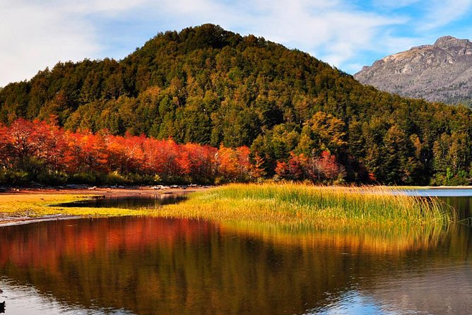 Tierra del Fuego National Park with the End of the World Train - Logistics that can make or break your morning