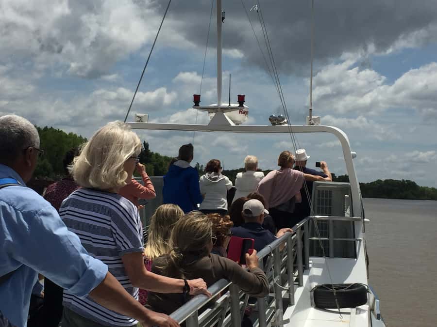 Tigre Delta: Half-Day Tour and Boat Trip - Island Life Details You’ll Want to Spot During the Cruise