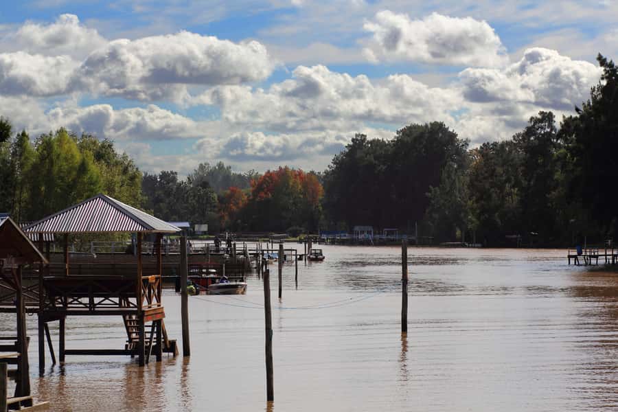 Tigre: River Delta Panoramic Boat Tour - Key Points Worth Knowing Before You Go