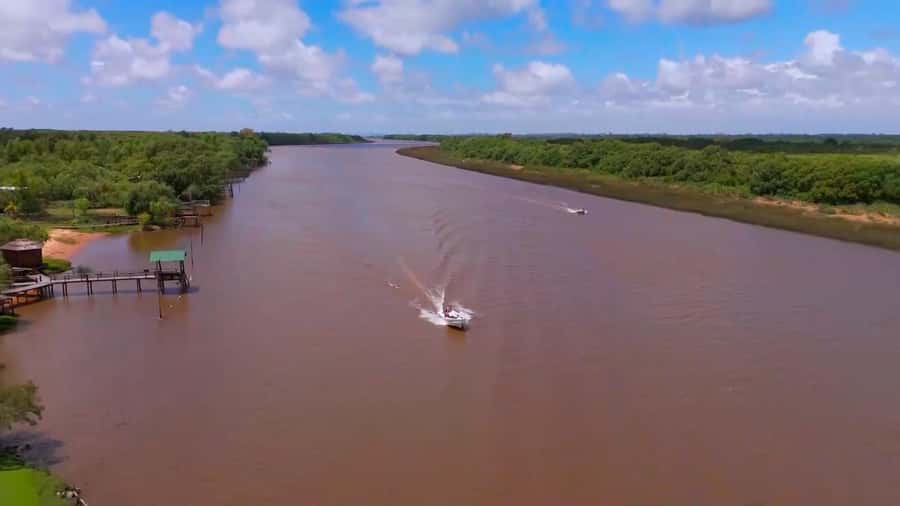 Tigre: Safari Náutico en Tigre/ Biosphere Reserve Boat Tour - Key points worth knowing before you go