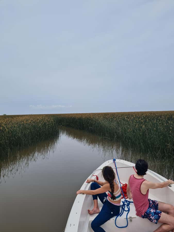 Tigre: Safari Náutico en Tigre/ Biosphere Reserve Boat Tour - Why Tigre’s waterways feel like a real change of pace