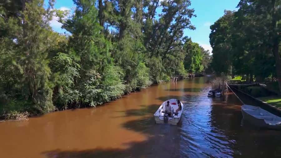 Tigre: Safari Náutico en Tigre/ Biosphere Reserve Boat Tour - Tres Bocas sailing stop: learning what the water is telling you