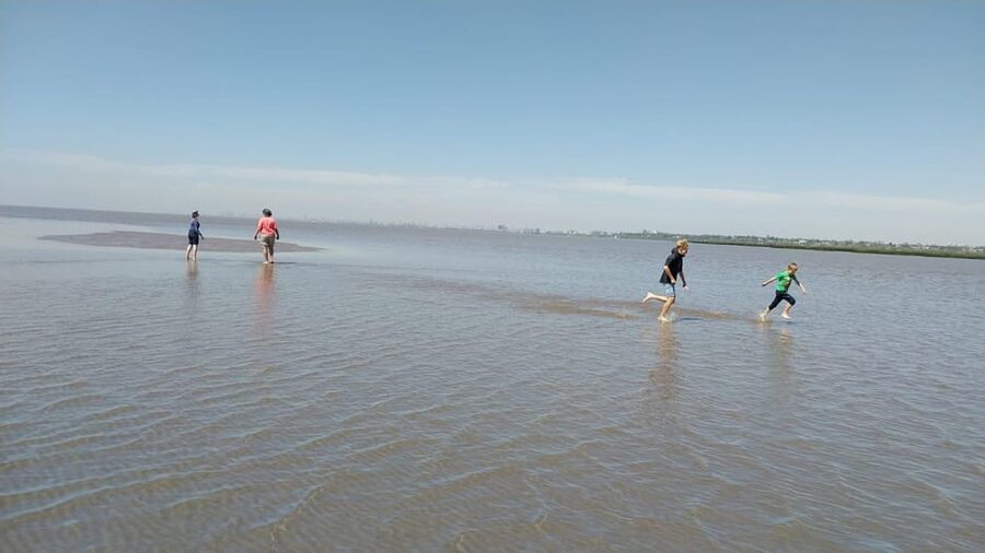 Tigre: Safari Náutico en Tigre/ Biosphere Reserve Boat Tour - Río de la Plata photo stop: what to shoot, and what to ignore