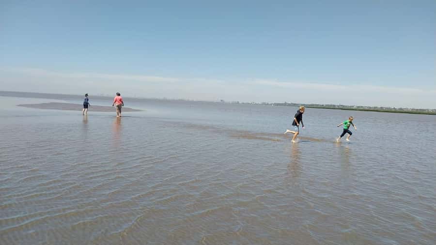Tigre: Safari Náutico en Tigre/ Biosphere Reserve Boat Tour - Arroyo Pajarito break time, and why the food matters