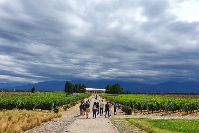 Top Rated: Winery Tour with Lunch in Mendoza - Stop 2 in Maipú: Cradle of Wine, longer tour time, and another tasting round