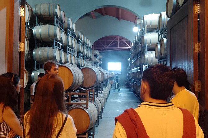 Top Rated: Winery Tour with Lunch in Mendoza - Who this Mendoza tour fits best, and who should think twice