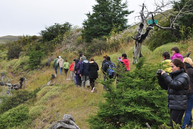 Torres Del Paine Full Day Overland Truck 4x4 from El Calafate - Who This Tour Fits Best, and Who Might Want a Different Plan