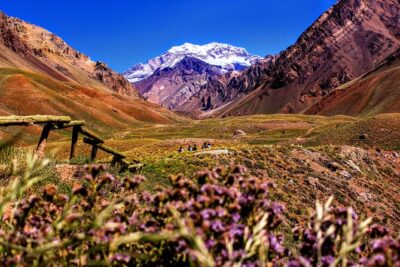 Tour Aconcagua Park in Small Group from Mendoza with Barbecue Lunch