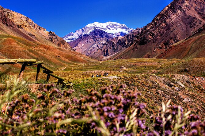Tour Aconcagua Park in Small Group from Mendoza with Barbecue Lunch - Lago Potrerillos and Uspallata Coffee: Small Stops That Reset Your Day