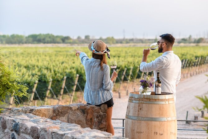 Tour and Tasting in 3 Wineries and 1 Olive Tree in Maipu - Key highlights to know before you go