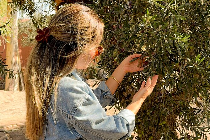 Tour and Tasting in 3 Wineries and 1 Olive Tree in Maipu - Stop 1 at Bodega Familia Cecchin: organic wine focus and vineyard walk