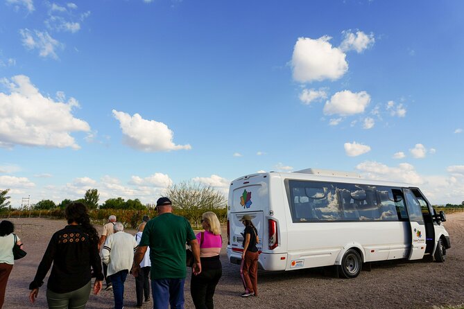 Tour and Tasting in 3 Wineries and 1 Olive Tree in Maipu - Group size, pacing, and the Spanish-English balance you should expect