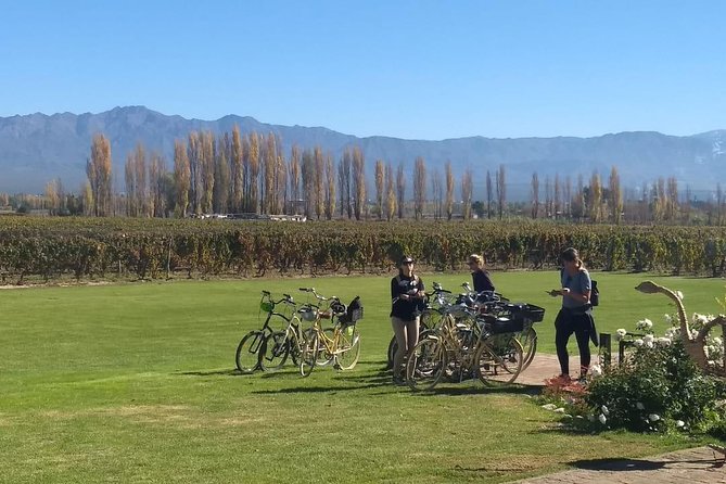 Tour autoguiado en bicicleta por Luján de Cuyo (Mendoza) - Precio y valor: qué compras con USD 22.99