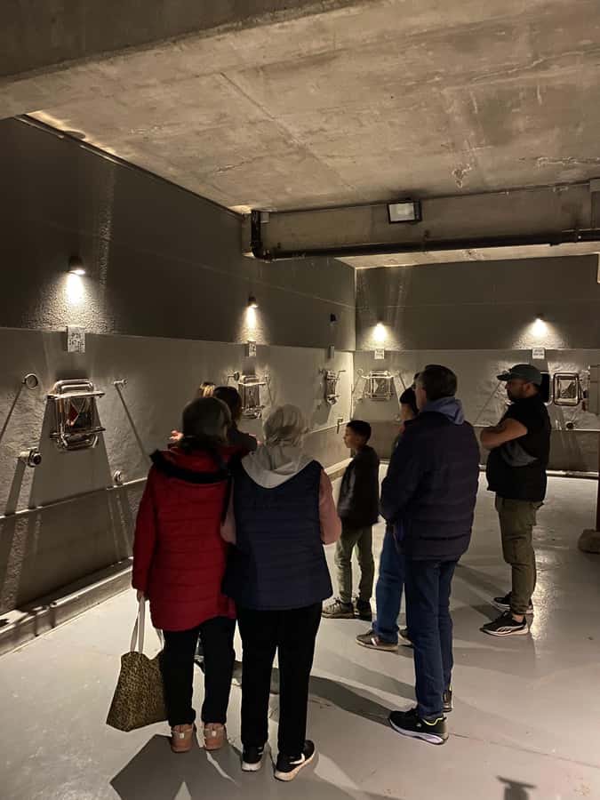 Tour of 3 wineries in Maipú with lunch + olive groves - Maipú Wine Roads and a 7-Hour Plan That Actually Feels Manageable