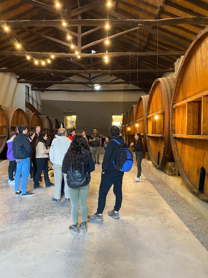 Tour of 3 wineries in Maipú with lunch + olive groves - Stop 2: Winery Two, Another 1-Hour Taste of Mendoza Traditions